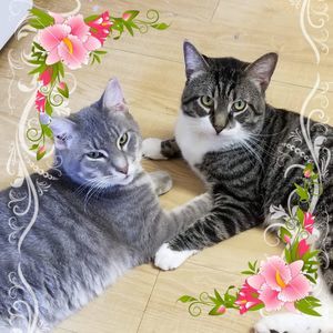 Meet your Posher, Levonne